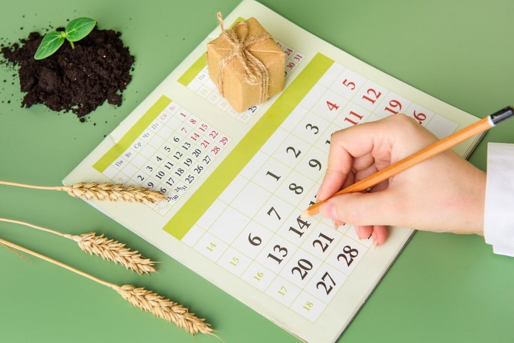 Calendrier de jardinage : importance et avantages