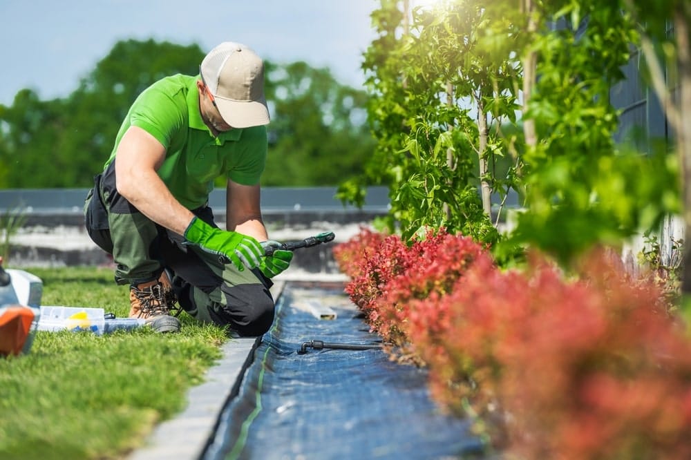 Conseils et techniques pour entretenir un jardin sain et naturel