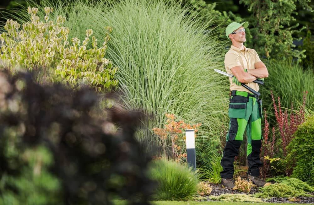 Pourquoi faire appel à une compagnie de jardinerie ?