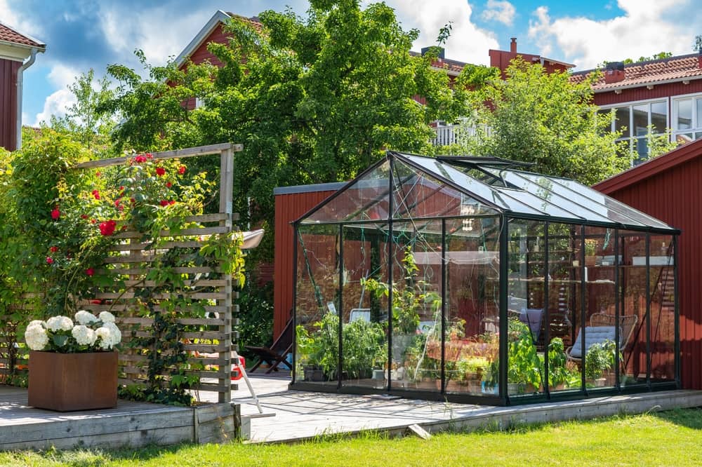 Sélection, installation et conseils pour optimiser votre potager avec une serre de jardin